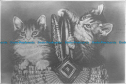 R155408 Old Postcard. Kittens In The Basket. 1962 - Monde