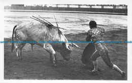 R155426 Entrando A Matar. Matador Pret A Tuer Le Taureau. V. Pradera - Monde