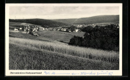 AK Oberschledorn / Hochsauerland, Blick Auf Die Ländliche Ortschaft  - Autres & Non Classés