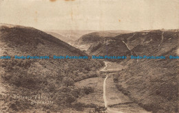 R155480 Vallency Valley Boscastle. Webber - World