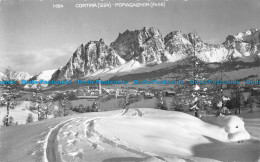 R155563 Cortina. Pomagagnon - World