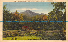 R155579 Mount Pisgah From Hominy Creek. Western North Carolina. 1949 - Monde