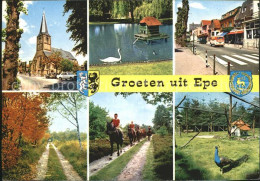 72390812 Epe Gelderland Kirche Pferde Tierpark Epe Gelderland - Altri & Non Classificati