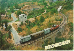 Calabria Cosenza S.giovanni In Fiore Veduta Treno Merci In Transito Sul Ponte Diretto Verso Cosenza (v.retro) - Eisenbahnen