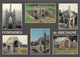 56 LES FONTAINES DE BRETAGNE - Autres & Non Classés