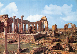 MAROC VOLUBILIS - Other & Unclassified