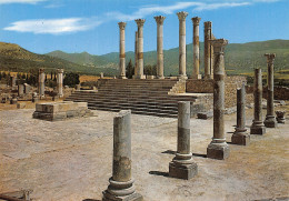 MAROC VOLUBILIS - Other & Unclassified