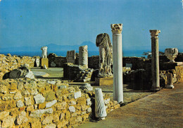 TUNISIE CARTHAGE LE THEATRE - Tunisia