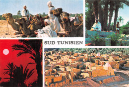 TUNISIE LE SUD - Tunisia