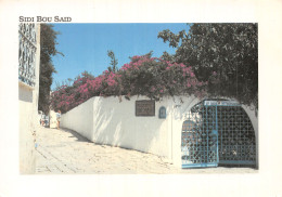 TUNISIE SIDI BOU SAID - Tunisia