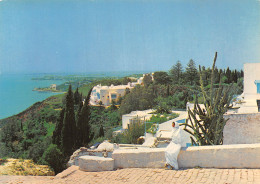 TUNISIE SIDI BOU SAID - Tunisia