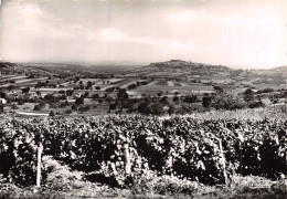 18 SANCERRE VU DE BELLECHOUME - Sancerre