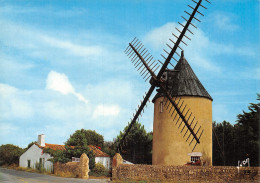 17 L ILE DE RE LE MOULIN DE MORINANT - Ile De Ré