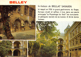 1 BELLEY MAISON NATALE DE BRILLAT SAVARIN - Belley