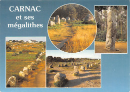 56 CARNAC ALIGNEMENTS DU MENEC - Carnac