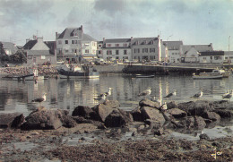 29 LESCONIL - Lesconil