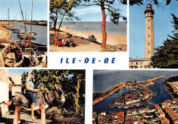 17 L ILE DE RE CHENAL D ARS - Ile De Ré