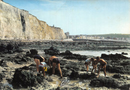 80 MERS LES BAINS MOULES A MAREE BASSE - Mers Les Bains