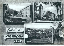 Bu177 Cartolina Saluti Da Palanzano Provincia Di Parma Emilia Romagna - Parma