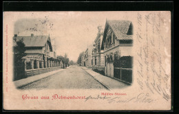 AK Delmenhorst, Mühlen-Strasse Mit Passanten  - Delmenhorst