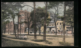 AK Annaburg, Promenade Mit Steingutfabrik  - Other & Unclassified