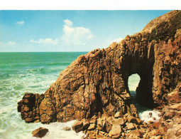 56 QUIBERON LA COTE SAUVAGE - Quiberon