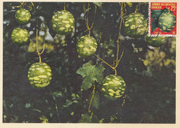 French Colonies: Senegal: Post Card Premier Jour Flore D' Outre Mer To Dakar - Sénégal (1960-...)