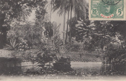 French Colonies: Guinee Carte Postal Conakry Jardain - Guinea (1958-...)