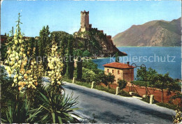 72383576 Lago Di Garda Malcesine Teilansicht Firenze - Sonstige & Ohne Zuordnung