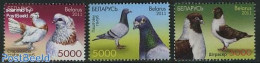 Belarus 2011 Pigeons 3v, Mint NH, Nature - Animals (others & Mixed) - Birds - Wit-Rusland