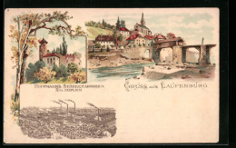 Lithographie Laufenburg, Ortsansicht Mit Brücke, Ruine, Hoffmanns Stärkefabriken Salzuflen  - Autres & Non Classés