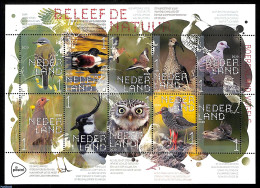 Netherlands 2020 Nature, Birds 10v S-a M/s, Mint NH, Nature - Birds - Ducks - Owls - Ongebruikt