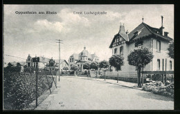 AK Oppenheim A. Rhein, Ernst-Ludwigstrasse Mit Villen  - Other & Unclassified