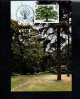 GB CARTE MAXIMUM 1973 CHENE - Arbres