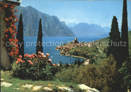 72382442 Malcesine Lago Di Garda Ortsansicht  Malcesine - Otros & Sin Clasificación