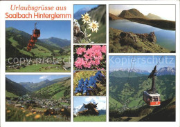 72382177 Saalbach-Hinterglemm Kohlmais-Gipfelbahn Alpenblumen Schattbergseilbahn - Altri & Non Classificati