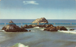 R155619 Seal Rocks. San Francisco. California. Selitho - World