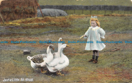 R155717 Just A Little Bit Afraid. Girl And Gooses. J. W. B. Commercial. 1910 - World