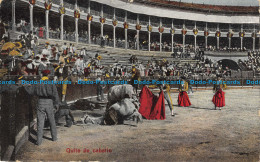 R155769 Quite De Caballo - Monde