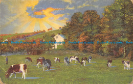 R155782 Old Postcarc. Cows At The Fields - Monde