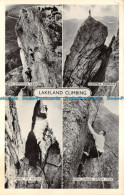 R155793 Lakeland Climbing. Multi View. Abraham. RP. 1967 - Monde