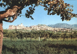 72379006 Assisi Umbria Gesamtansicht Firenze - Otros & Sin Clasificación