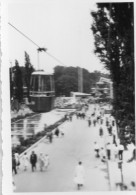 Photographie Vintage Photo Snapshot Bruxelles Belgique Exposition - Lieux