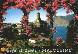 72378843 Malcesine Lago Di Garda  Malcesine - Autres & Non Classés