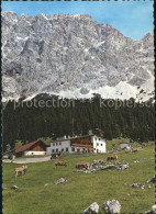 72378452 Ehrwald Tirol Ehrwalder Alm Ehrwald - Autres & Non Classés