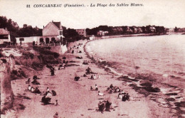 29 - Finistere - CONCARNEAU - La Plage Des Sables Blancs - Concarneau