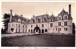 41 - Loir Et Cher -  CELLETTES - Chateau De Beauregard - Autres & Non Classés