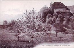 SUISSE -  Château Du Chatelard Et Dent Du Midi - Andere & Zonder Classificatie