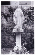 Hainaut - Gosselies - Institut Des Soeurs De La Providence - Ecole Menagere - Statue Du Jardin - Other & Unclassified