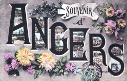 49 - Maine Et Loire - ANGERS - Souvenir D'Angers - Angers